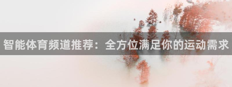 智能体育频道推荐：全方位满足你的运动需求