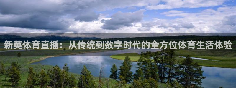 新英体育直播：从传统到数字时代的全方位体育生活体验