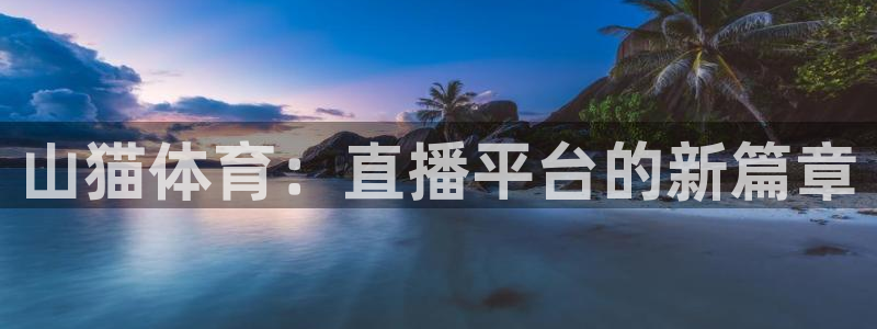 山猫体育：直播平台的新篇章
