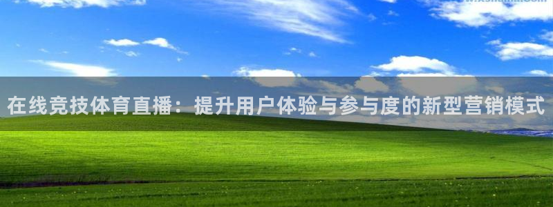 在线竞技体育直播：提升用户体验与参与度的新型营销模式