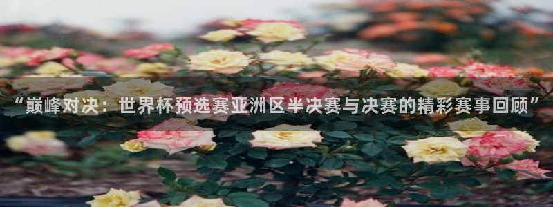 “巅峰对决：世界杯预选赛亚洲区半决赛与决赛的精彩赛事回顾”
