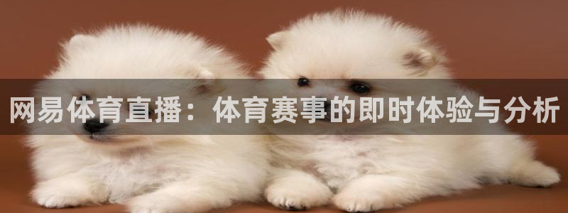 网易体育直播：体育赛事的即时体验与分析
