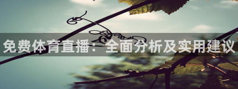 免费体育直播：全面分析及实用建议