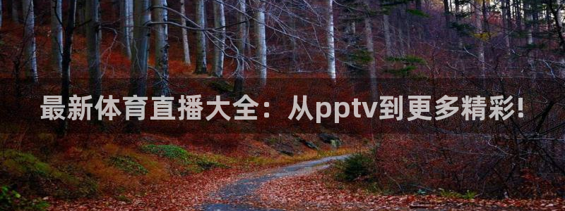 最新体育直播大全：从pptv到更多精彩!