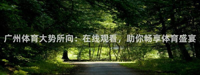 广州体育大势所向：在线观看，助你畅享体育盛宴