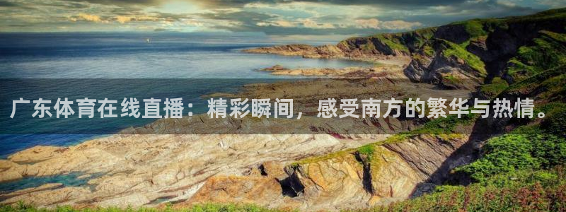 广东体育在线直播：精彩瞬间，感受南方的繁华与热情。