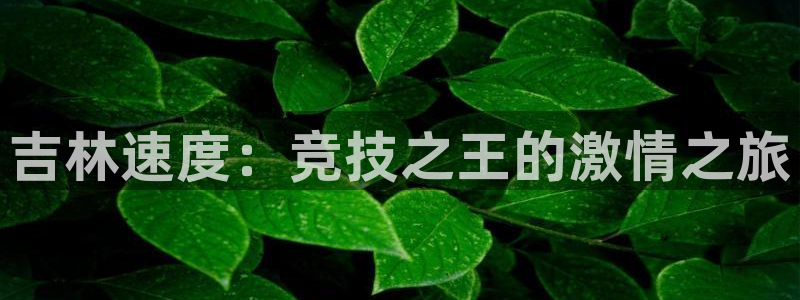 吉林速度：竞技之王的激情之旅