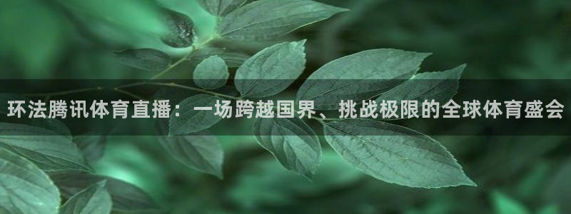 环法腾讯体育直播：一场跨越国界、挑战极限的全球体育盛会