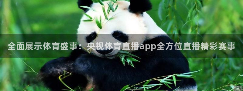 全面展示体育盛事：央视体育直播app全方位直播精彩赛事