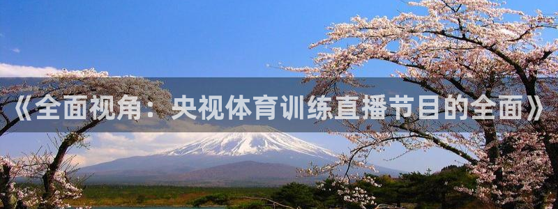 《全面视角：央视体育训练直播节目的全面》