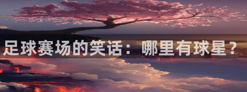 足球赛场的笑话：哪里有球星？