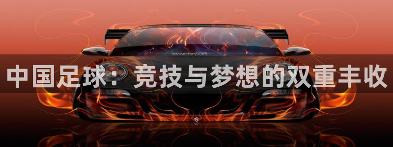 中国足球：竞技与梦想的双重丰收