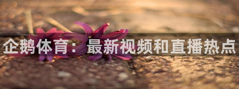 企鹅体育：最新视频和直播热点
