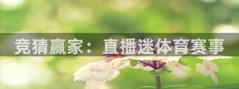 竞猜赢家：直播迷体育赛事
