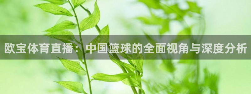 欧宝体育直播：中国篮球的全面视角与深度分析