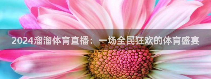 2024溜溜体育直播：一场全民狂欢的体育盛宴
